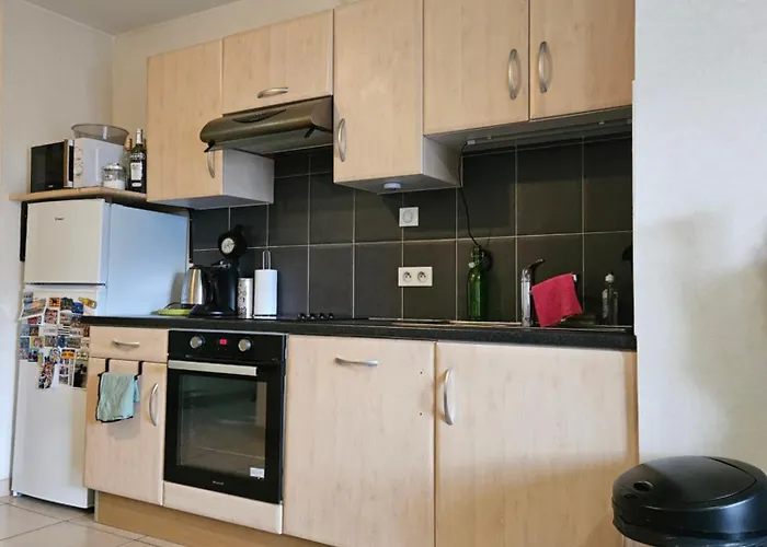 Hautacam Condor - Balcon Vue Montagne דירה